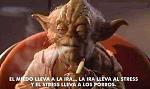 perfil/iltincho/albums/martina/608-maestro-yoda.jpg